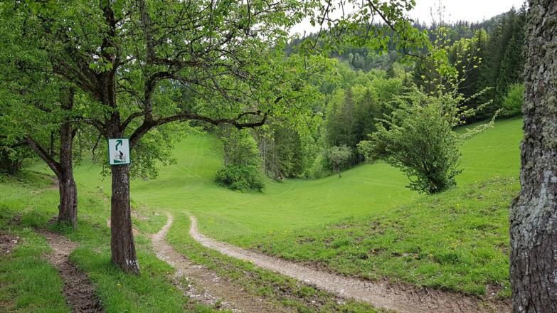 Abfahrt nach Reithner halb rechts über die Wiese.