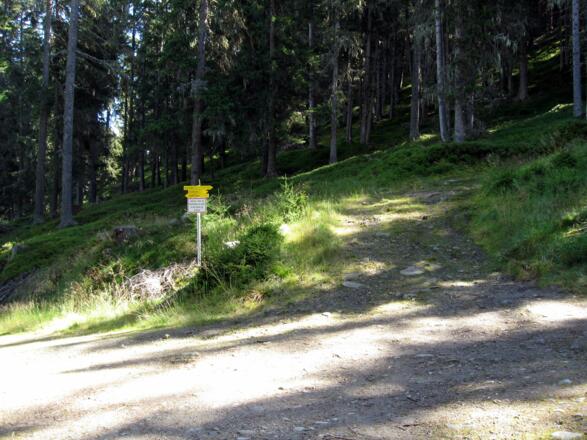 Hier endet die Forststraße.