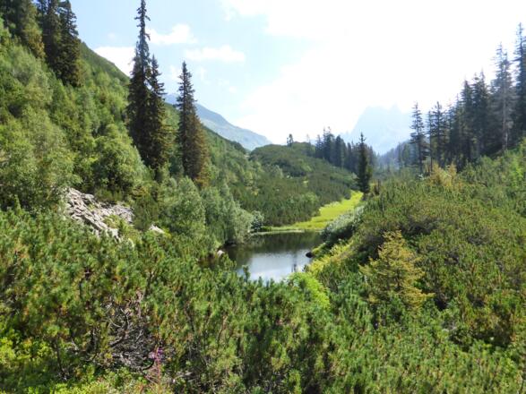 Schwarzsee