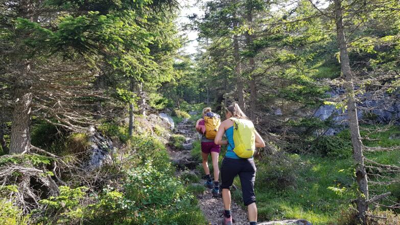 Am Weg zur Wettersteinhütte