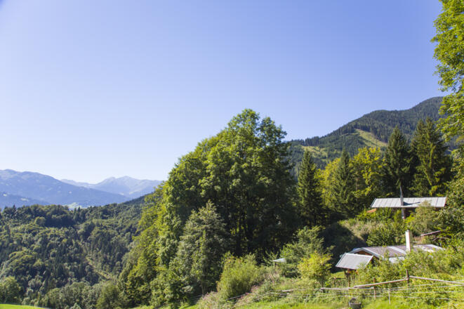 Reitbichlhütte II
