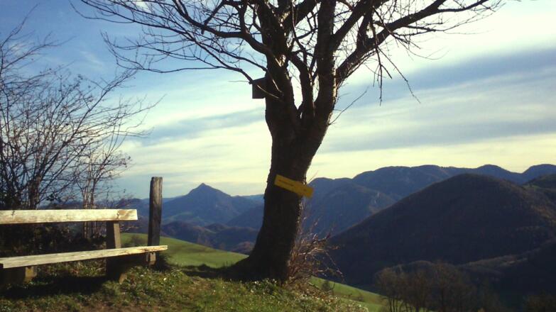 Aussichtspunkt um 740m