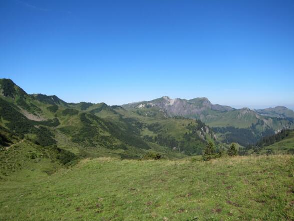Zum Hohen Freschen (21. August 2013)