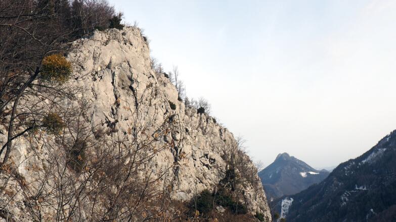 Gratabbruchkante zum Reitnerkogel mit Schieferstein