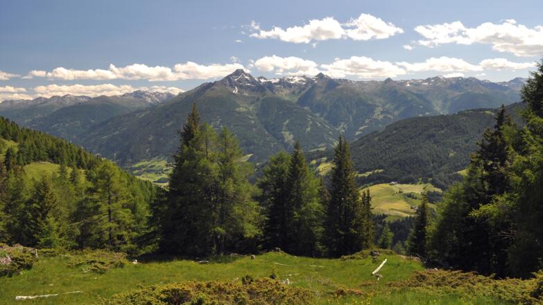 Tauerntal bei Matrei, Zunig