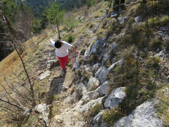 Ab ca. 950 m ändert der Weg seinen Charakter und würde nach der Bergwege-Klassifikation einem "schwierigen Bergweg" entsprechen.