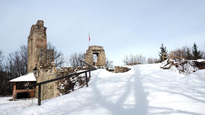 Ruine Seisenburg 739m