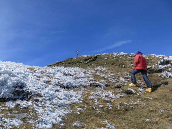 Grasgipfel der Kleinen Kesselspitze