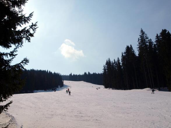Wieder auf der Piste um 1400m