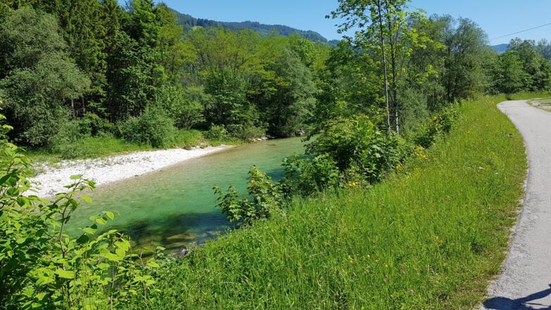 Die wunderschöne klare Ybbs
