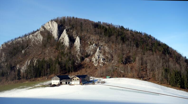 Vorbei am Hintsteinerhof 768m mit Reitnerkogel