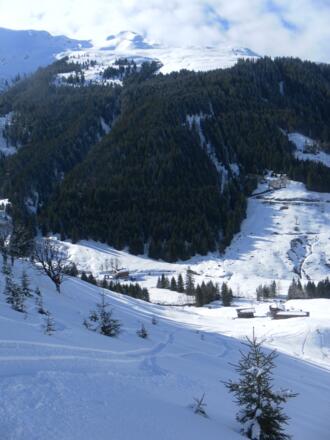 Gamskogelhütte und Tagweidalm unter dem Steinbergstein