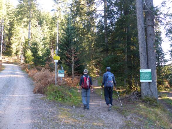 Schon bald nach der Forststraße geht es auf einem anfangs breiteren Fußweg in Richtung Ackerlhütte.