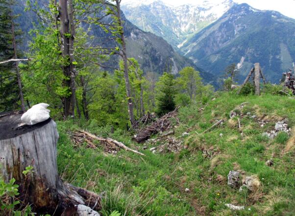 Hier vom Grat 1400m links (südwärts) absteigen, blasse Markierungen