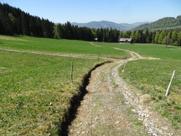 ...aber gleich weider gemütlich durch Felder