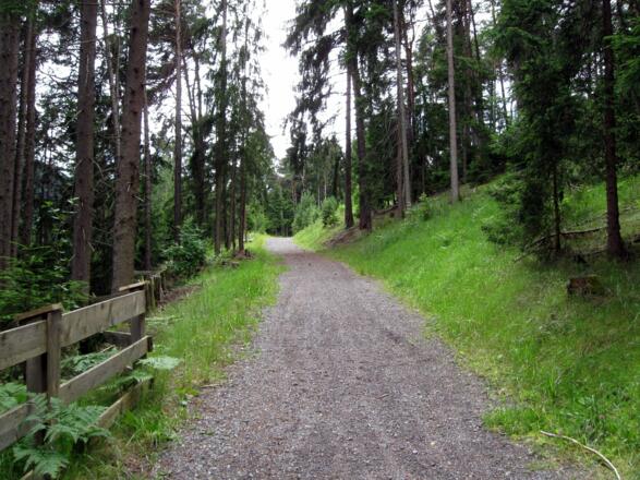 Weiter geht es auf einem sehr guten Forstweg.