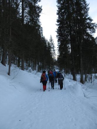 Zu Beginn geht es auf dem gewalzten Weg ins Tal.