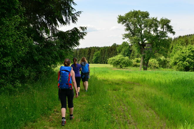 der Beginn der Runde l