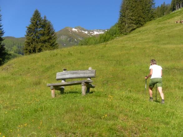 Almwiesenanstieg
