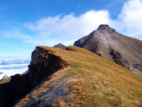 Grat: Rote Wand - Lämpermahdspitze