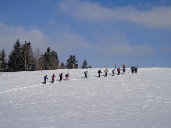 Auf den Wiesen in Lingenau