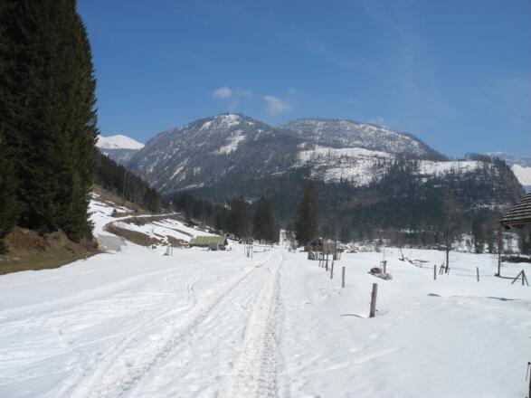 Die Rettenbachalm ist erreicht - links im Hintergrund der Wildenkogel (Schönberg)