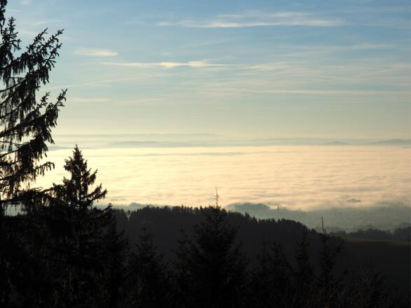 Hochnebeldecke vom Koglerauspitz 685m