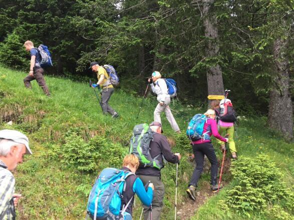 Nach ca. 10 Minuten weist ein Wegweiser auf den schmalen Steig, welcher rechts abzweigt