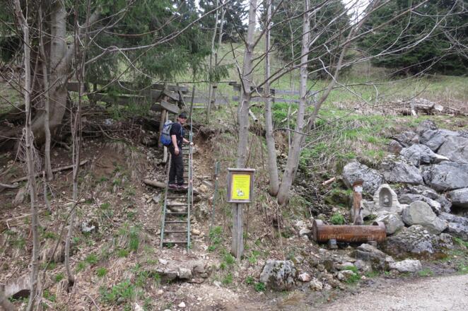 Unterhalb der Spitzelsteinalm bei einer Quelle (Aloisbrünndl)
