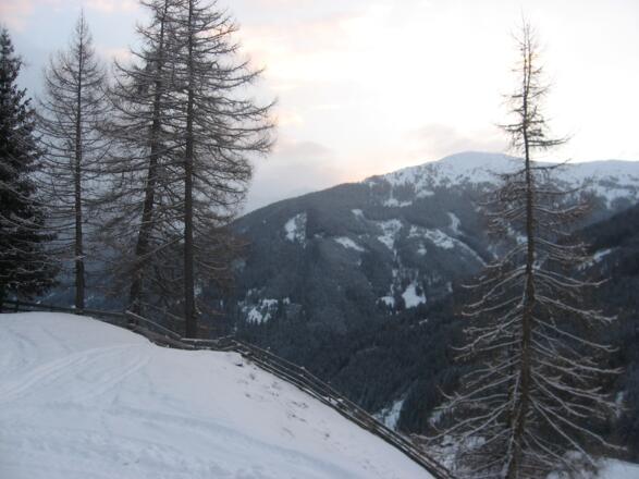 Das Bild wurde oberhalb des Schmiedhofes aufgenommen. Blick Richtung Sattelberg.