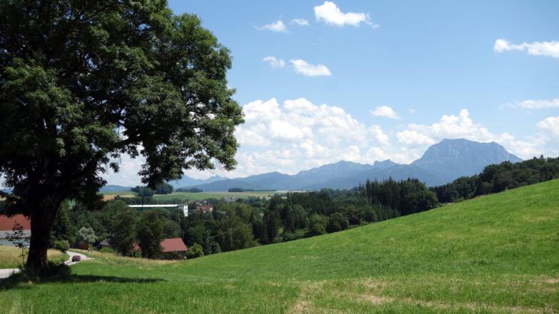 Vor Tiefenweg ~440m mit Traunstein