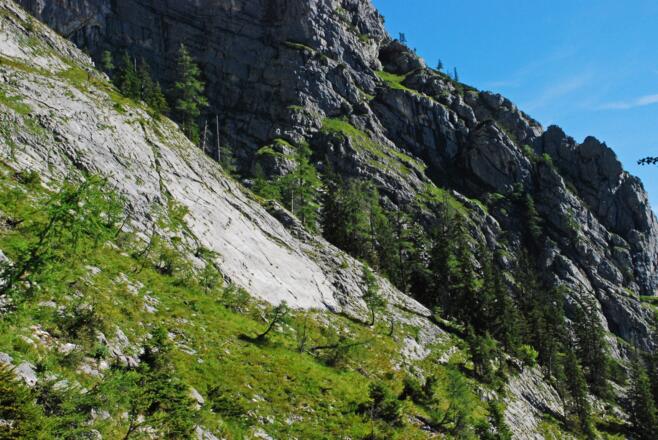 Die Platte und der Zotttige Hebenkas