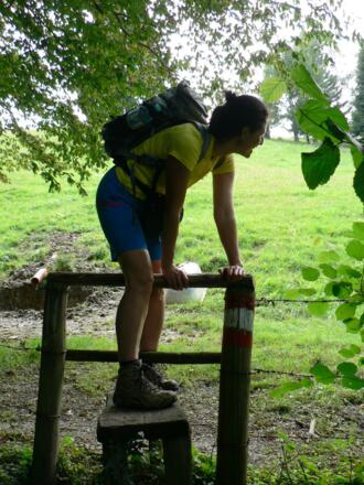 Wir durchqueren eine Weide ...