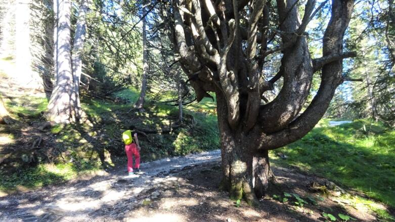 ... der Schotterstraße, ist gut beschildert und unschwierig.
