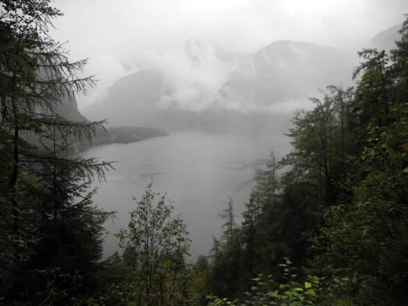 Leider präsentierte sich der Hallstättersee am 25.8.2013 wolkenverhangen.