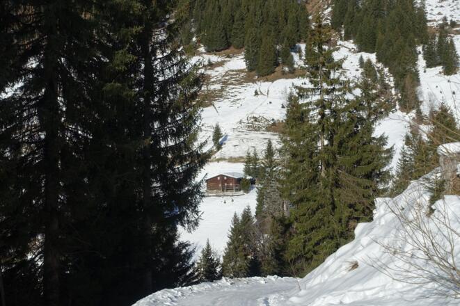 Kreeheimalm