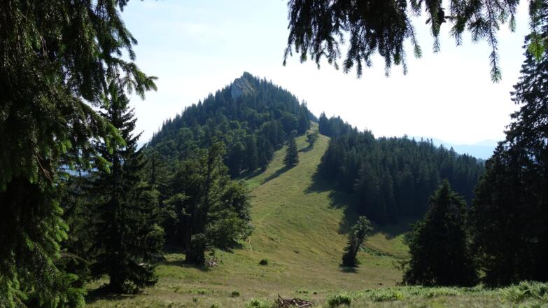 Luchsboden 1310m mit Alpstein