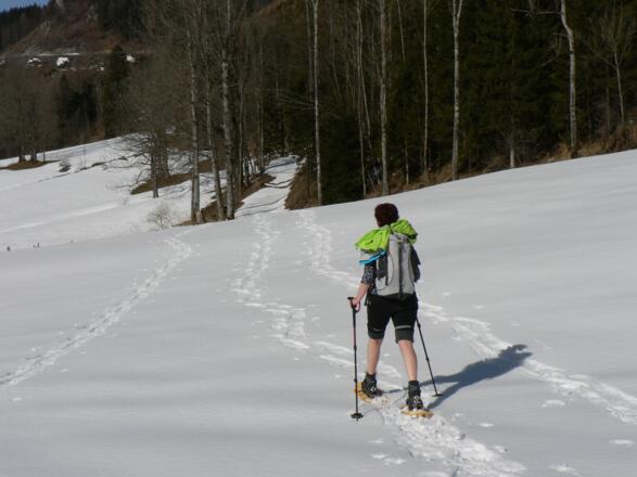 Wir halten uns unterhalb des Waldsaums ...