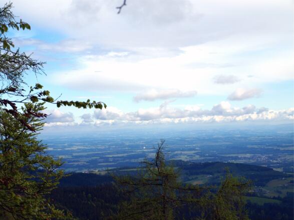 Alpenvorland