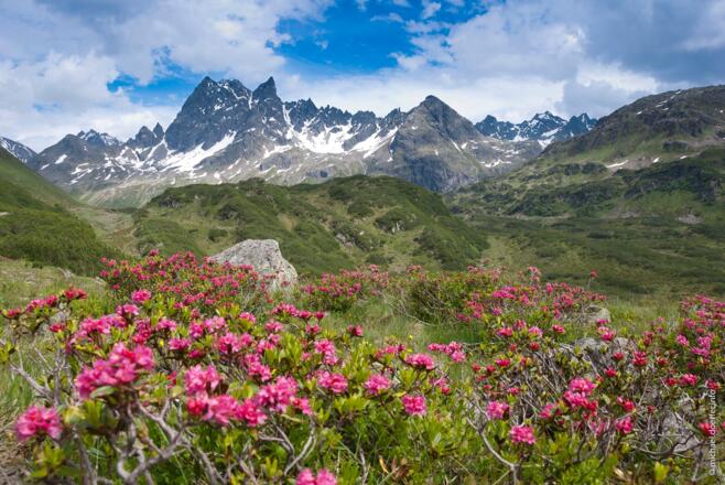 Blick zum Patteriol und Wannenjöchli