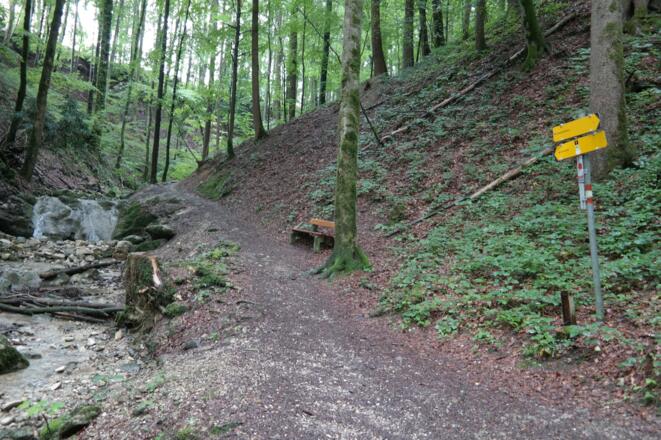 Hier ginge es geradeaus auf den Grasberg. Wir zweigen rechts ab zum Gmundnerberg.