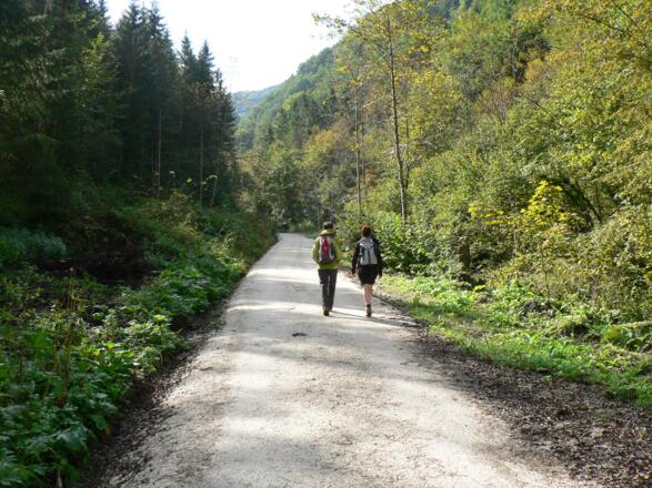 Zuerst etwa 20 Minunten aufwärts durchs malerische Wendbachtal