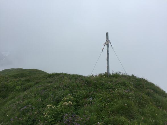 eine kleine Stange markiert den Gipfel des Habart, 2294 m