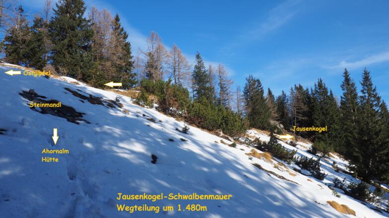 Wegteilung 1480m, Schwalbenmauer-Jausenkogel-Ahornalm