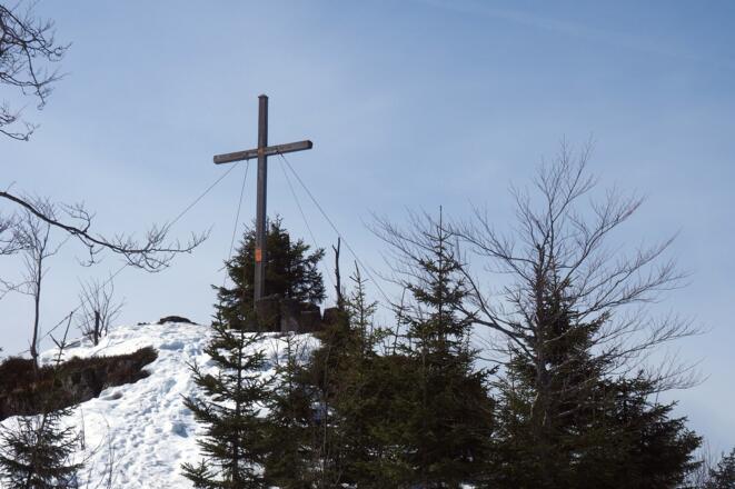 Zwieselberg 1163m