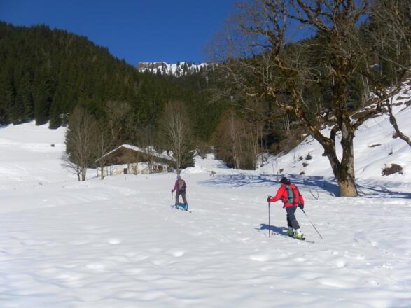 Vogleralm