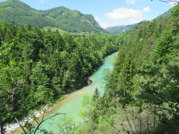 Blick in die Steyrschlucht