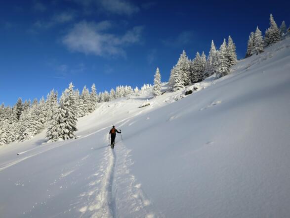 Queren In Entlastungs-Abständen ist eine einfache Maßnahme zu "Schonung" der Schneedecke.