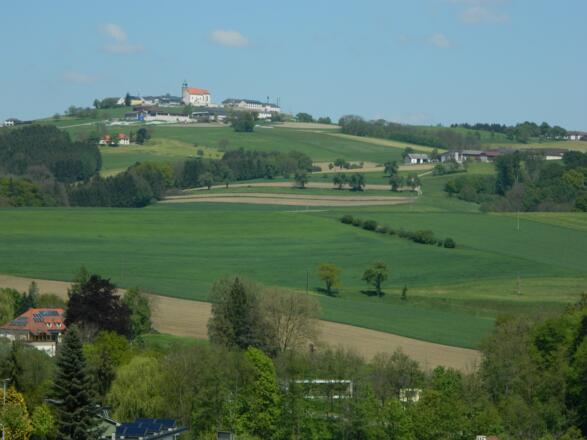 Blick zum Kollmitzberg