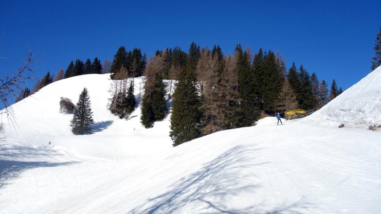 Kreuzbauernspitz und Gameringsattel 1605m